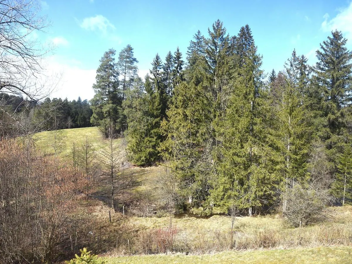 Holiday Home In Nesselwang With Shared Pool